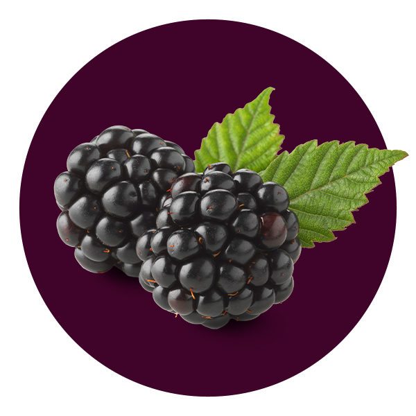Blackberry