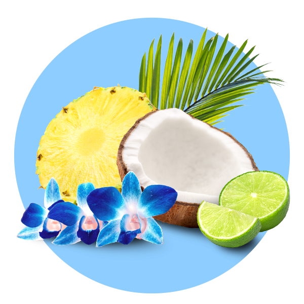 Blue Hawaii