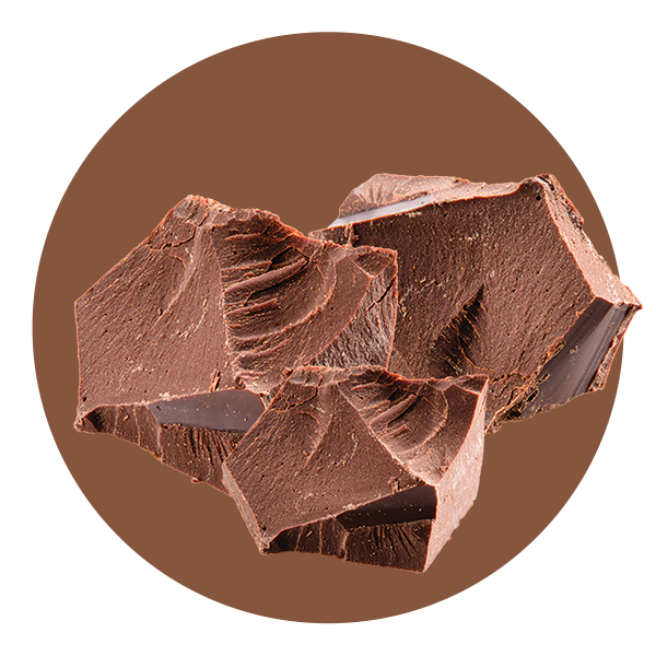 Cholov Yisroel Chocolate Ice Cream