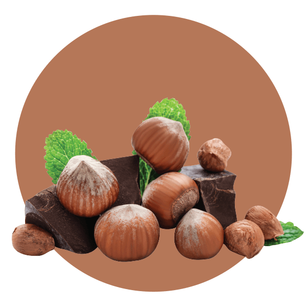 Chocolate Hazelnut